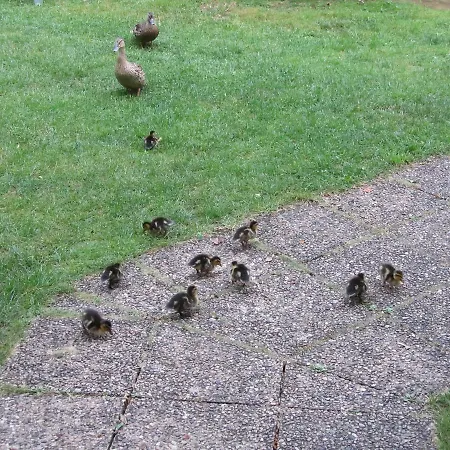Le Moulin De La Beune Les Eyzies