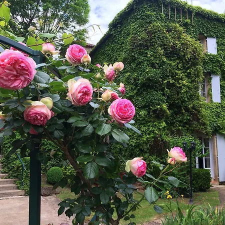 Logis Le Moulin De La Beune Szálloda Les Eyzies-de-Tayac-Sireuil