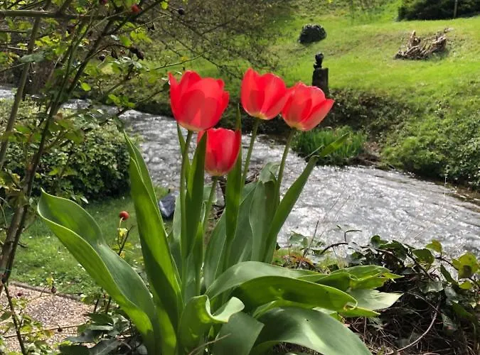 Ξενοδοχείο Le Moulin De La Beune 3*