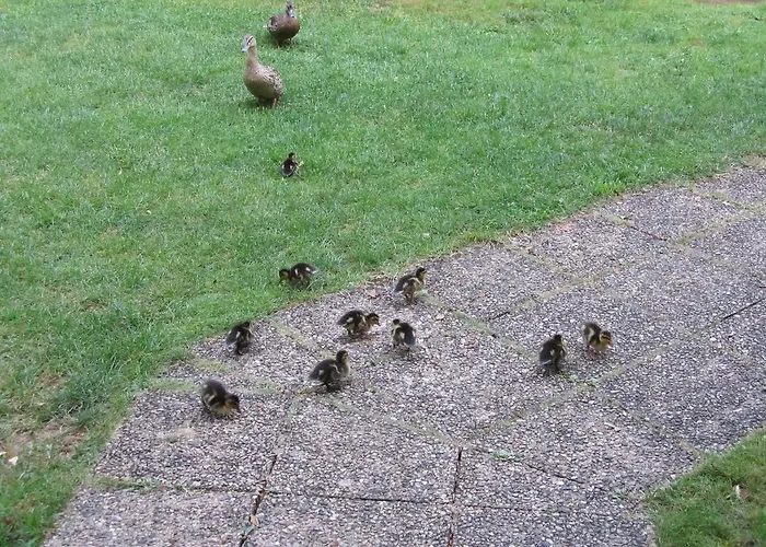 Le Moulin De La Beune Les Eyzies