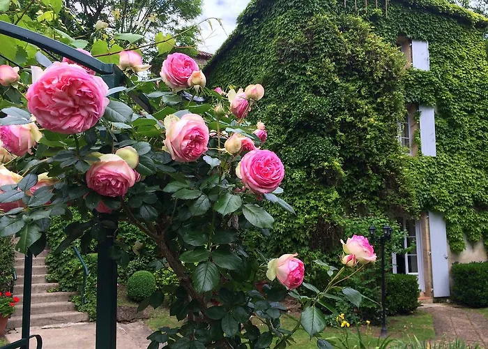 Le Moulin De La Beune 酒店 Les Eyzies